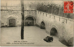 Paris 5e - La Fosse aux Ours envahie par les Eaux -
																					75005 Paris 5e
																			