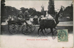 Carte postale ancienne La Voiture aux Lamas - Jardin Zoologique d'Acclimatation de Paris
                                                                     à Neuilly-sur-Seine
                                