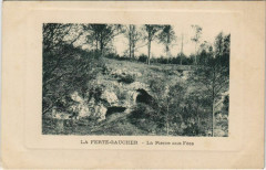 La Ferte-Gaucher La Pierre aux Fees France