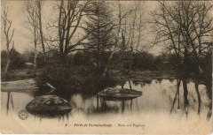 Fontainebleau Mare aux Pigeons France à Fontainebleau