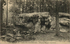 Fontainebleau L'Elephant France à Fontainebleau