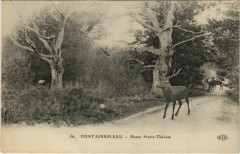 Fontainebleau Route Marie-Therese France à Fontainebleau