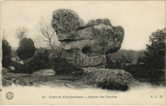 Fontainebleau Sphinx des Druides France à Fontainebleau