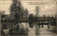 Moret-sur-Loing - L'Abime de Borneau
