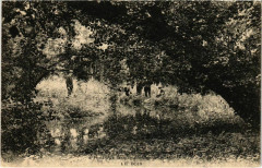 Pont-aux-Dames-Couilly - Landscape 