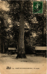 Foret de Fontainebleau - Le Jupiter à Fontainebleau
