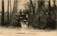 Crecy-en-Brie - Un bras du Morin