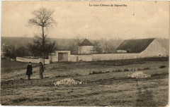 Le vieux Chateau de Septveilles