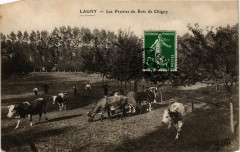 Lagny - Les Prairies du Bois de Chigny
