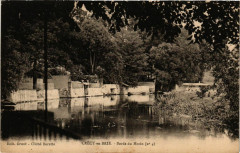 Crecy-en-Brie - Bords du Morin