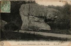Foret de Fontainebleau - La Tete du Chien à Fontainebleau