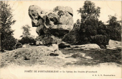 Foret de Fontainebleau - Le Sphinx des Druides à Fontainebleau