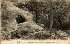 Foret de Fontainebleau - L'Oeil d'Argus à Fontainebleau