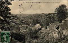 Foret de Fontainebleau - Dans les Gorges de Franchard à Fontainebleau