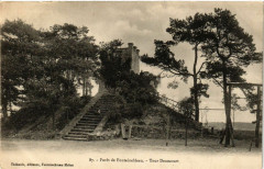 Foret de Fontainebleau - Tour Denecourt à Fontainebleau