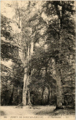 Foret de Fontainebleau - Le Pharamond à Fontainebleau