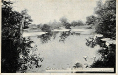 Foret de Fontainebleau - La Mare de Franchard à Fontainebleau