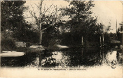 Foret de Fontainebleau - Mare de Franchard à Fontainebleau