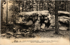 Foret de Fontainebleau - L'Elephant (Gorges d'Apremont) à Fontainebleau