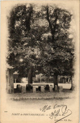 Foret de Fontainebleau - La Table du Roi à Fontainebleau
