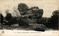 Foret de Fontainebleau - Sphinx des Druides à Fontainebleau
