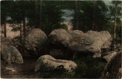 Foret de Fontainebleau - Rochers -
																					77300 Fontainebleau
																			