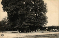 Foret de Fontainebleau - Table du Roi à Fontainebleau