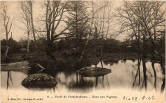 Foret de Fontainebleau - Mare aux Pigeons à Fontainebleau
