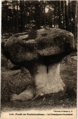 Foret de Fontainebleau - Le Champignon d'Apremont à Fontainebleau