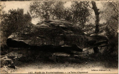 Foret de Fontainebleau - La Tortue d'Apremont à Fontainebleau