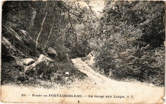 Foret de Fontainebleau - La Gorge aux Loupe à Fontainebleau