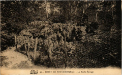 Foret de Fontainebleau - La Roche Eponge à Fontainebleau
