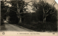 Fontainebleau - Route Marie-Therese à Fontainebleau