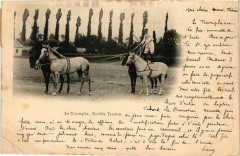 Le Triomphe Double Tandem