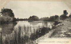 Montfort-L'Amaury-L'Etang de la Plaine à Montfort-l'Amaury