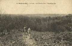 Marly-le-Roi-La Foret-Les Vaux de Cruy-Magnifique Site -
																					78160 Marly-le-Roi
																			