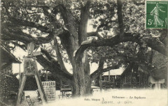 Villennes-Le Sophora