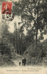 Neauphle-le-Chateau-Un coin du bois de Villiers