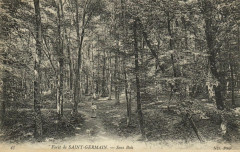 Foret de Saint-Germain-Sous Bois
