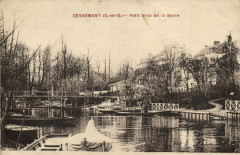 Dennemont-Petit Bras de la Seine