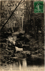 Le Bois de Vincennes - Cascade de Lac Daumesnil
