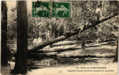Carte postale ancienne Bois de Vincennes - Aspect d'une rivière depuis le cyclone
                                                                     à Paris 12e
                                