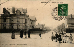 Beaumont - L'Avenue Paul Bejot -
													95 Val d'Oise
												