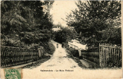 Valmondois -Le Bois Thibaut à Valmondois