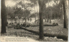 Charenton Alfortville - une vue de l'ile depuis le cyclone -
																					94140 Alfortville
																			
