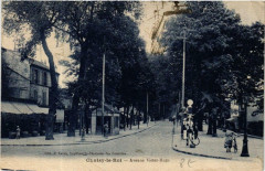 Choisy-le-Roi Avenue Victor Hugo à Choisy-le-Roi