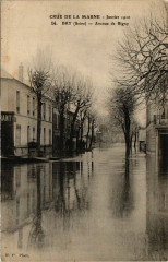 Crue de la Marne