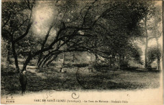 Parc de Saint-Cloud (Artistique) -Le Trou de Madame -Madam's Hole à Saint-Cloud