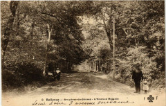 Bellevue - Bruyéres -de-Sévres - L'Avenue Mélanie -
																					92310 Sèvres
																			