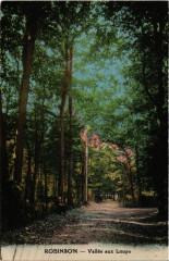 Robinson Vallée aux Loups